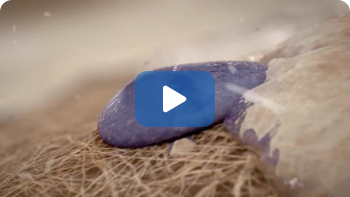 bone-remodeling-and-modeling